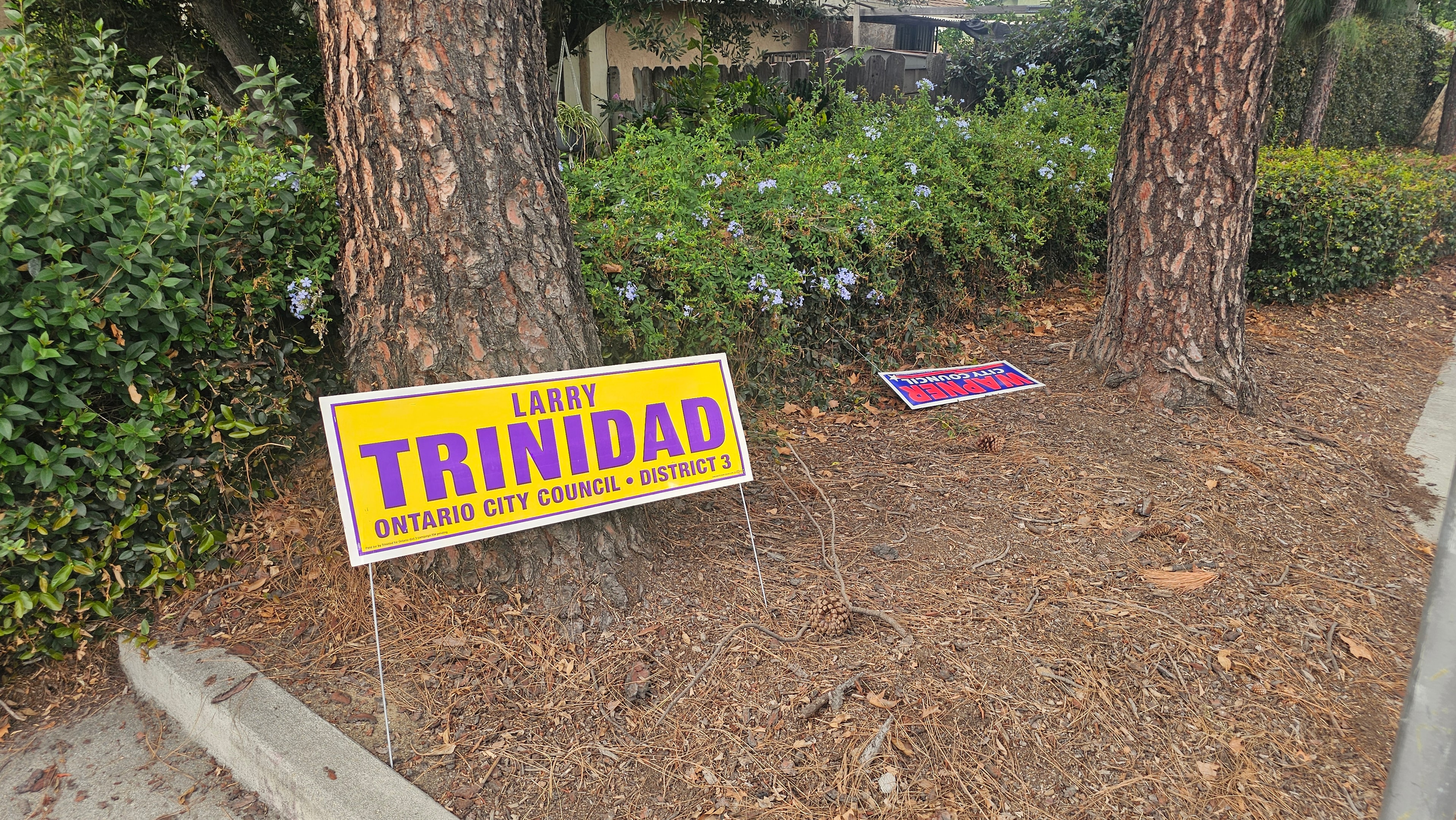 Resident-submitted photograph showing Larry Trinidad and Alan Wapner campaign signs appearing together in a landscaped area at a reported Ontario location, September 21, 2026.